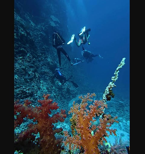 Diving in Jazan Sea: Adventure and Discovery Boosting Marine Tourism