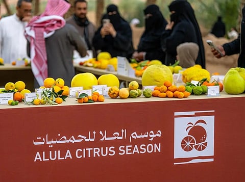 AlUla Citrus Festival Draws Large Crowds