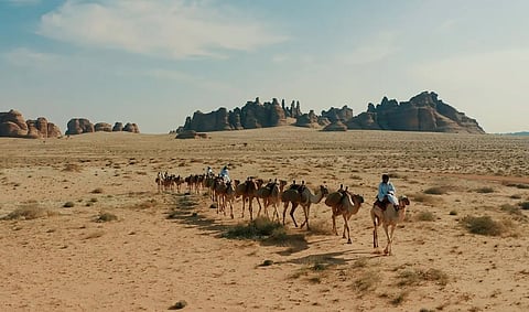 Levant Hajj Route: Historic Faith Journey across Diverse Paths and Stations