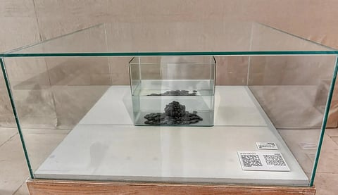 Jeddah Exhibition Showcases Recovered Islamic Coin Hoard From Red Sea Shipwreck