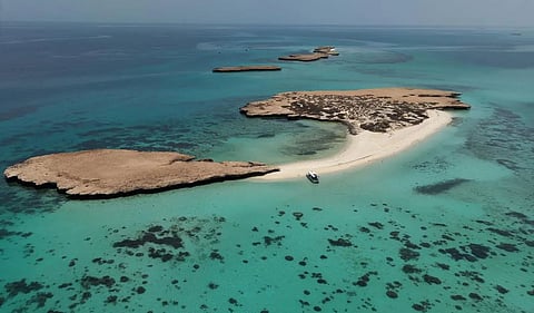Abu Shurayah Island Emerges as a Tranquil Red Sea Coastal Destination
