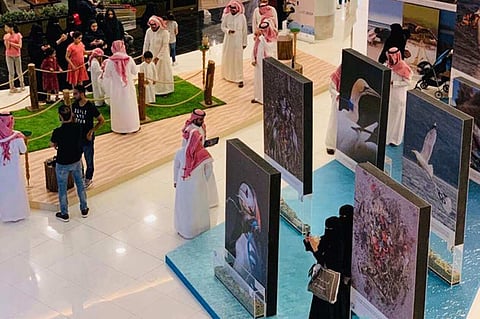 Saudi Arabia commemorates the International Day of Migratory Bird