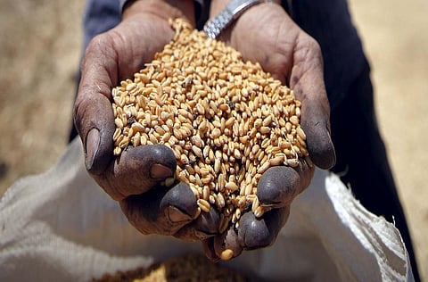 UN commends Saudi Arabia’s high-quality studies  consistent with SDGs on food waste and loss 