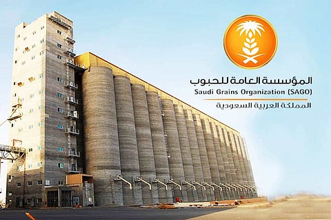 Saudi Arabia’s Grains Organization to Import 1,020,000 Tons of Feed Barley