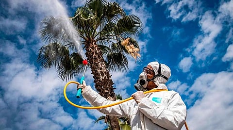 A Moroccan health ministry worker disinfects a street in the capital Rabat. (AFP)

