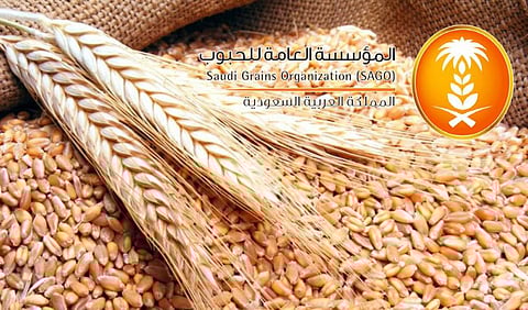 Saudi Grains Organization Completes Procedures to Import 600,000 Tons of Barley