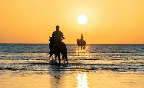 Eye-catching horse shows on Umluj governorate’s shores