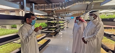 Saudi agricultural development fund approves loans of over SR820mn