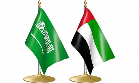 UAE hails dismantling of terrorist cell in Saudi Arabia 