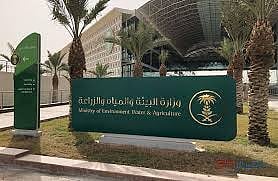 Saudi Arabia Supports Global Efforts to Address Covid-19 Effects, says Al-Fadhli