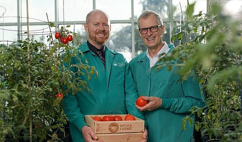 Red Sea Farms raises $10mn in venture capital investment 