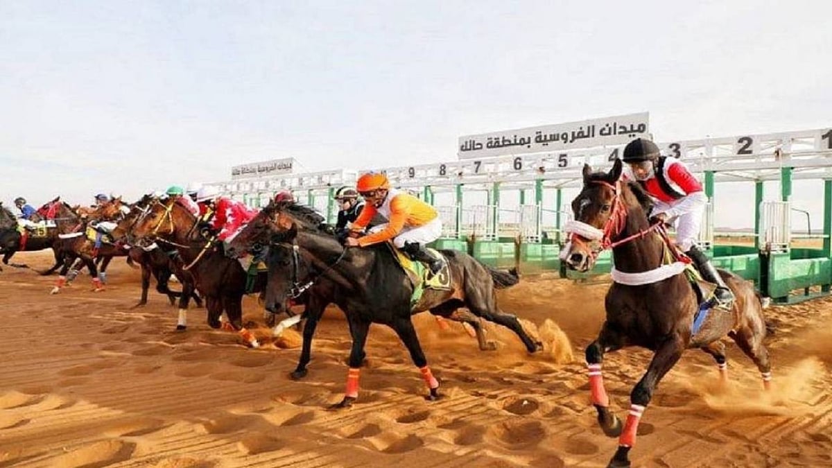 ميدان فروسية حائل يُنظم اليوم حفل سباقه الثامن 