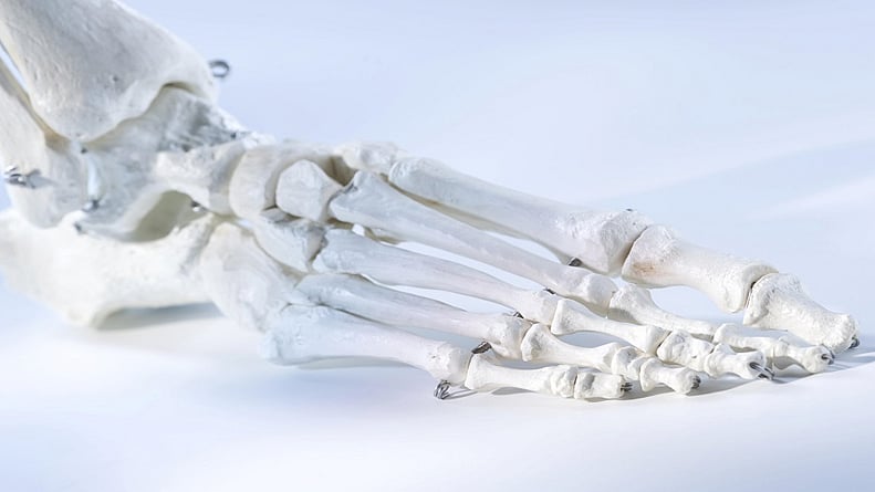 علماء يبتكرون مادة تساهم في تسريع شفاء العظام 