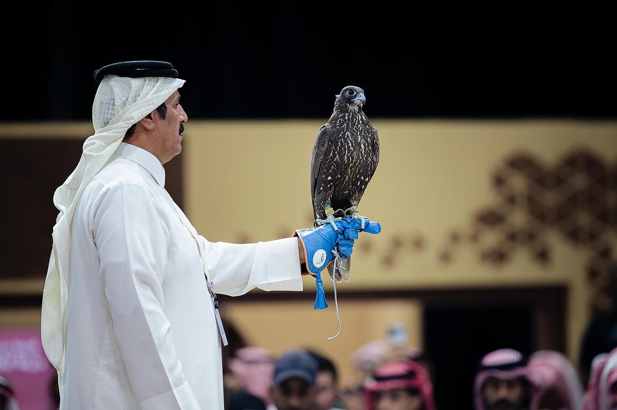 بيع صقرين ب180 ألف ريال في الليلة الأولى لمنصة المزاد الدولي لمزارع إنتاج الصقور 2025 