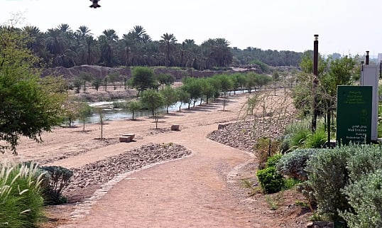 وادي قناة.. معلمٌ تاريخي وبيئي يعزز المشهد الحضري بالمدينة المنورة 