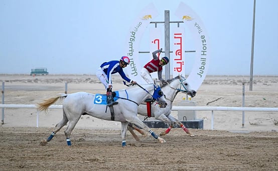 "فروسية الجبيل" ينظم ثاني سباقاته للموسم الحالي 1447 