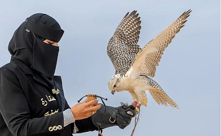 صقّارة من الحدود الشمالية توثّق تجربتها في تربية وتدريب الصقور 