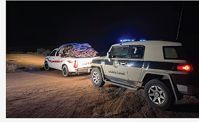 الأمن البيئي يضبط مواطنًا لتخزينه حطبًا محليًا في منطقة المدينة المنورة 