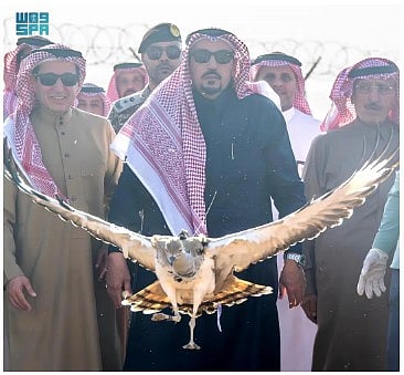 الأمير فيصل بن مشعل يُطلق 20 طائرًا من طيور الحبارى في متنزه القصيم الوطني 