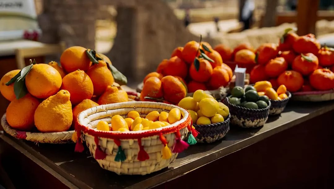 «موسم العُلا للحمضيات» يشهد إقبالًا متزايدًا تزامنًا مع إجازة منتصف العام الدراسي 