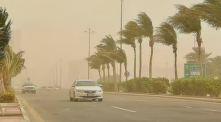 الأرصاد: عواصف ترابية في المنطقة الشرقية 