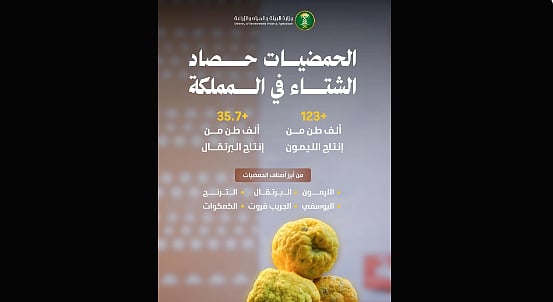 «البيئة»: شتاء المملكة يشهد إنتاجًا مميزًا من الحمضيات 