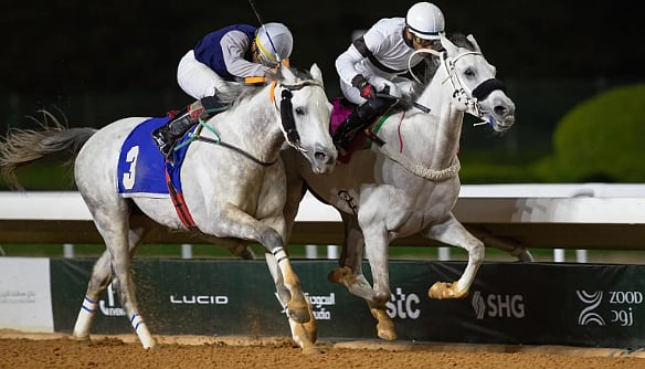 منافسة قوية في سباقات مهرجان الأمير سلطان بن عبدالعزيز العالمي للجواد العربي 