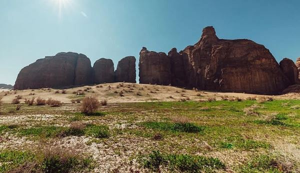 «ملكية العُلا» تحظر أنشطة القيادة المضرة بأراضي الغطاء النباتي 
