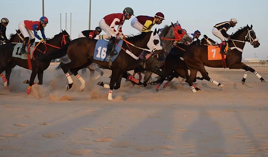 ميدان فروسية الأحساء يقيم الحفل الثاني عشر لسباقات الموسم 1447 هـ 
