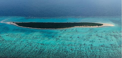 جزيرة مرمر.. محمية طبيعية تزخر بتنوعها البيئي في محافظة الليث 