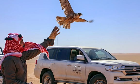 مهرجان الصقور بالقصيم يواصل فعاليات نسخته التاسعة 