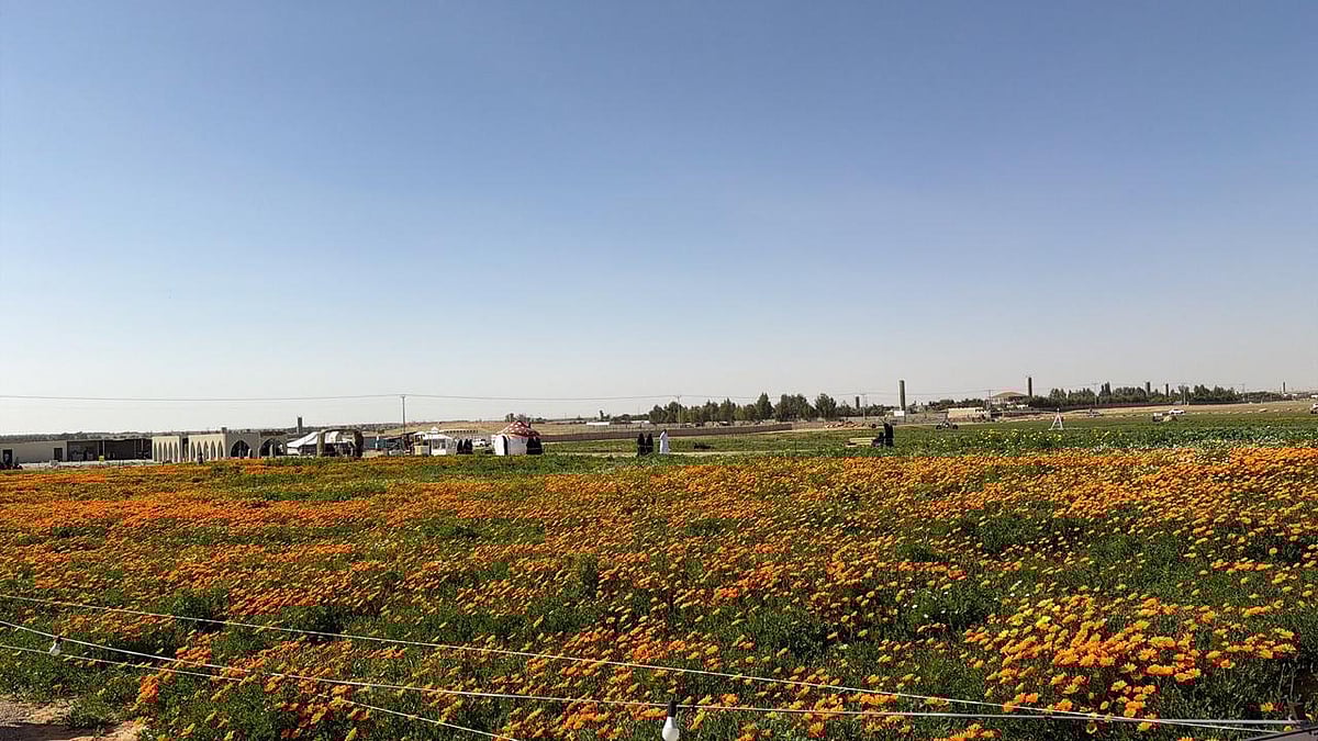 محمية الناصرية.. وجهة بيئية وسياحية تعكس جمال الطبيعة في رياض الخبراء 