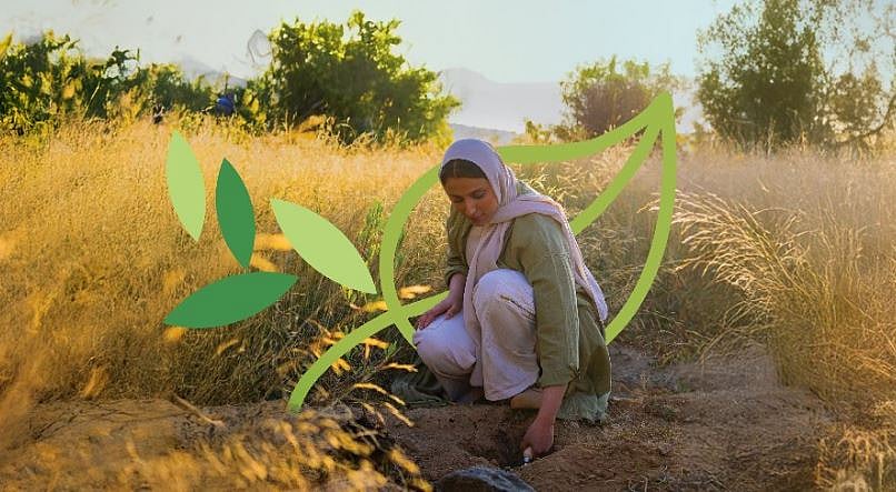 لتعزيز أهداف «السعودية الخضراء».. البرنامج الوطني للتشجير و«الفاو» يناقشان مراقبة النظام البيئي والتحقق الحقلي 