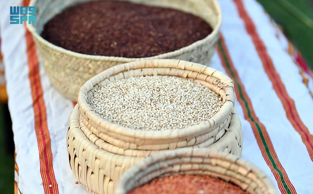 الدخن في عسير.. محصول موسمي يعزز الاستدامة والأمن الغذائي 