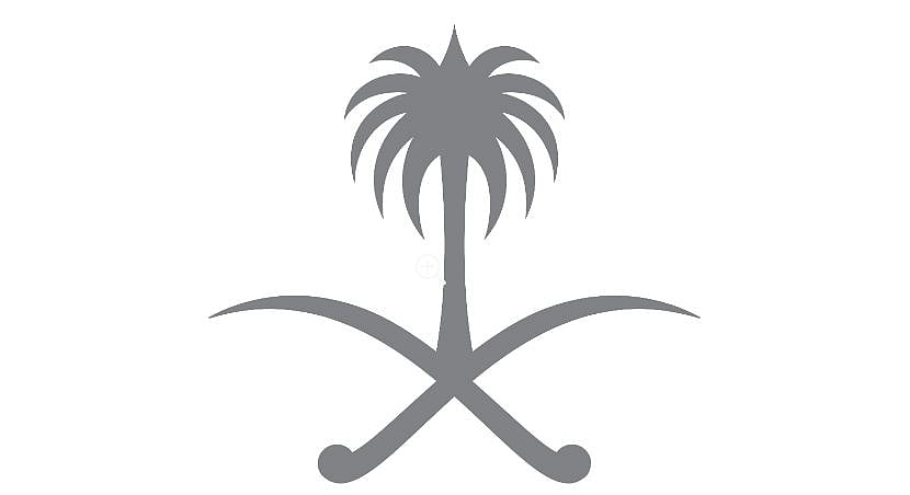 مرسوم ملكي يشمل نظام جوازات السفر السياسية والخاصة بشأن البعثات الدولية بمجالات التربية والثقافة والعلوم 