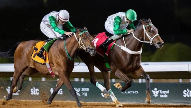 منافسات قوية في الأسبوع الختامي من موسم سباقات الرياض تمهيدًا لكأس السعودية 