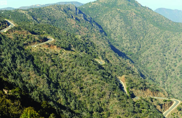 مدرب: جبال عسير أفضل مكان في الخليج لممارسة الطيران الشراعي 