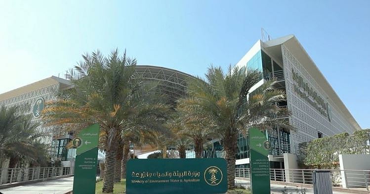 «استدامة» تُقيّم بدائل الأعلاف الموسمية لدعم التحول الوطني وحماية المياه الجوفية 