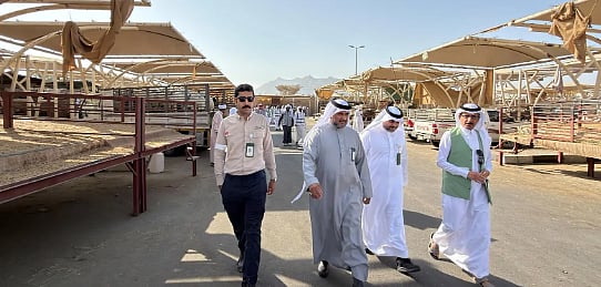 «بيئة نجران» تطلق حملة رقابية مكثفة استعدادًا لشهر رمضان 