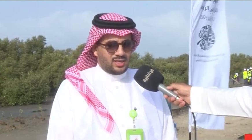 مدير «الغطاء النباتي» في جازان: زراعة 1000 شتلة مانجروف وإعادة تأهيل 2.5 مليون شجرة ضمن جهود حماية الأراضي الرطبة 