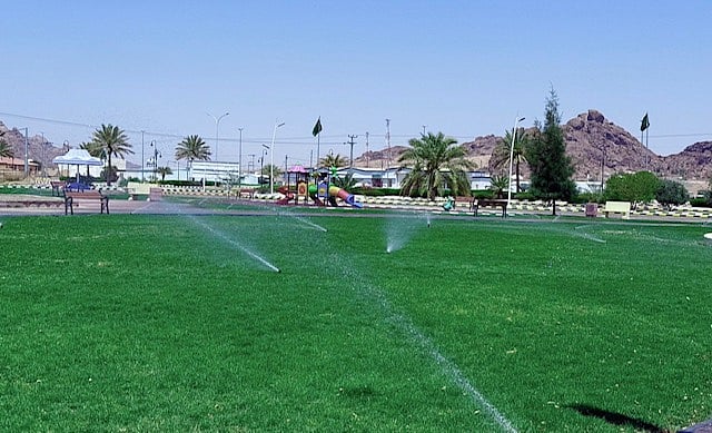 حائل تحصد جائزة المدينة العربية الخضراء 