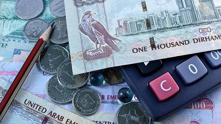 الهند تطلب إصدار مذكرات توقيف مفتوحة بحق مقيم في الإمارات بتهم غسل أموال وجرائم خطيرة 