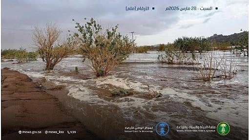 رصد هطول الأمطار في 6 مناطق.. ومحافظة ثار بنجران تسجّل أعلى كمية بـ 27,4 ملم في حمى 