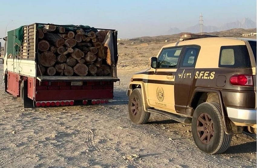 القوات الخاصة للأمن البيئي تضبط مخالفًا في محمية الأمير محمد بن سلمان الملكية 