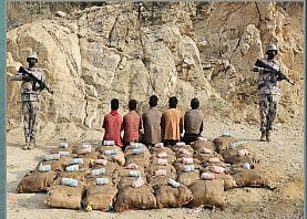 حرس الحدود بجازان يقبض على 5 يمنيين لتهريبهم 555 كيلوجرامات من القات المخدر 