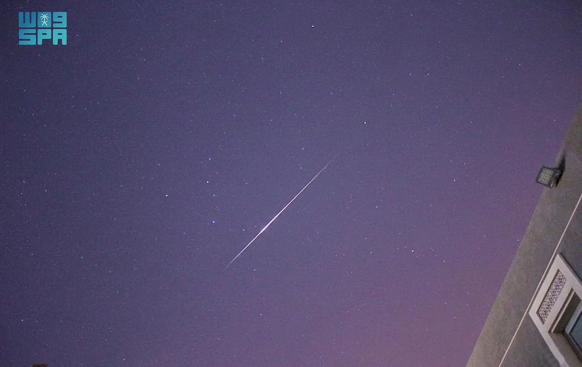 «القيثاريات» تزيّن سماء المملكة والوطن العربي في ذروة نشاطها 