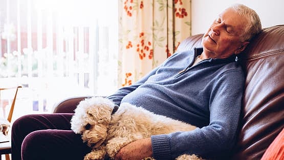 قيلولة كبار السن قد تنذر بخطر الوفاة.. دراسة تكشف التفاصيل 