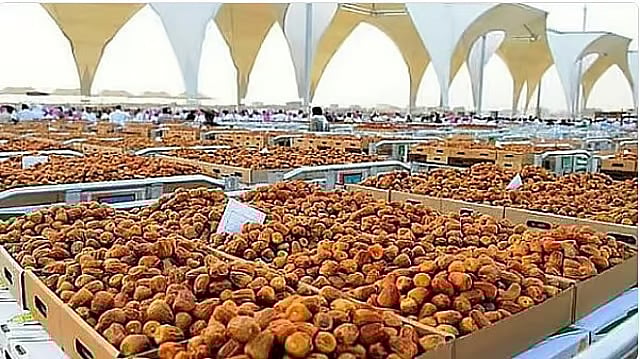 ارتفاع قيمة صادرات التمور السعودية إلى الصين بنسبة 39% 