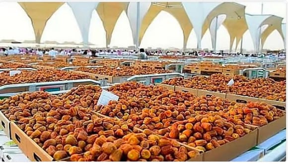 33% ارتفاعا في قيمة صادرات التمور السعودية إلى الدنمارك خلال 2025 
