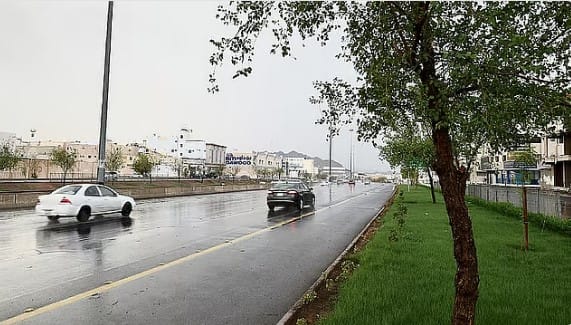 الأرصاد: أمطار متوسطة ورياح نشطة على منطقة جازان 